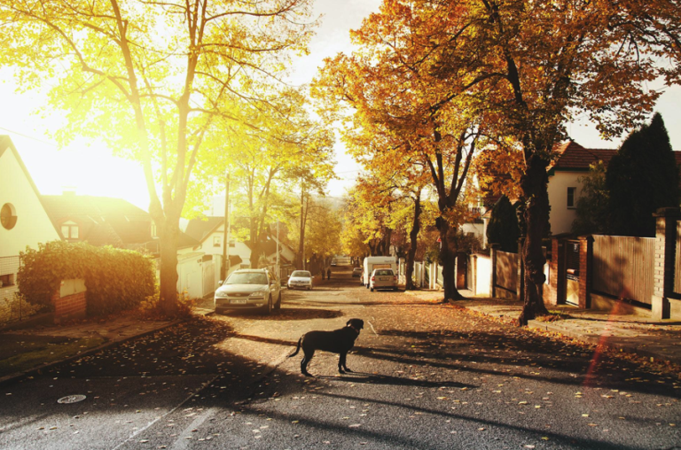 GIVE YOUR COMMUNITY THE GIFT OF SAFETY