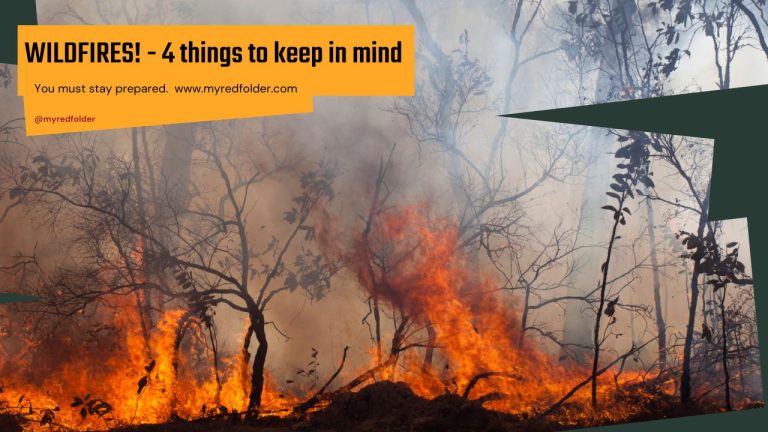 WILDFIRES! – TOP 4 THINGS NEVER TO FORGET